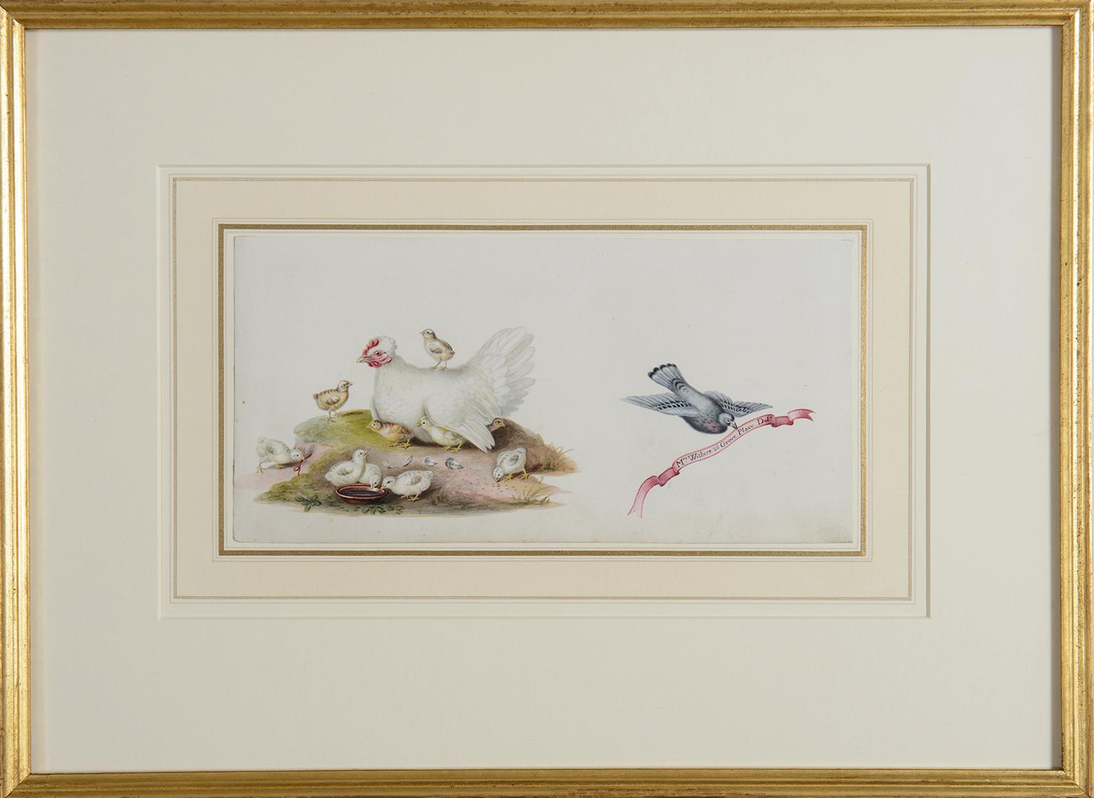 A white hen with her chicks - 19th century watercolour by Augusta Innes Withers For Sale 1