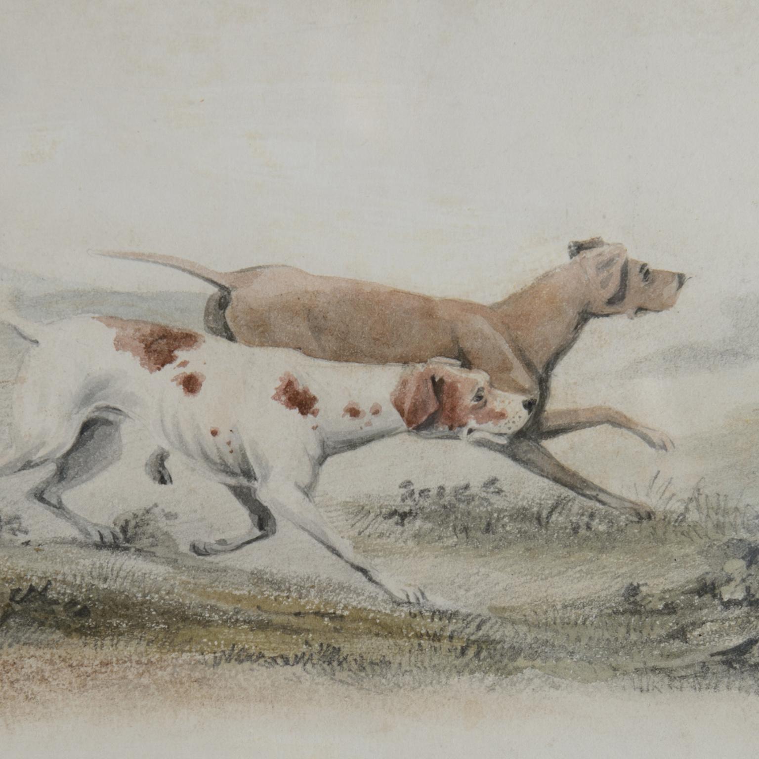 watercolour dogs