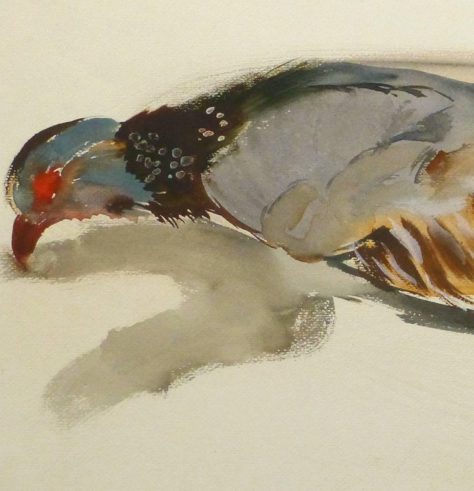 Vintage French Gouache - Game Bird Specimen - Painting by Unknown