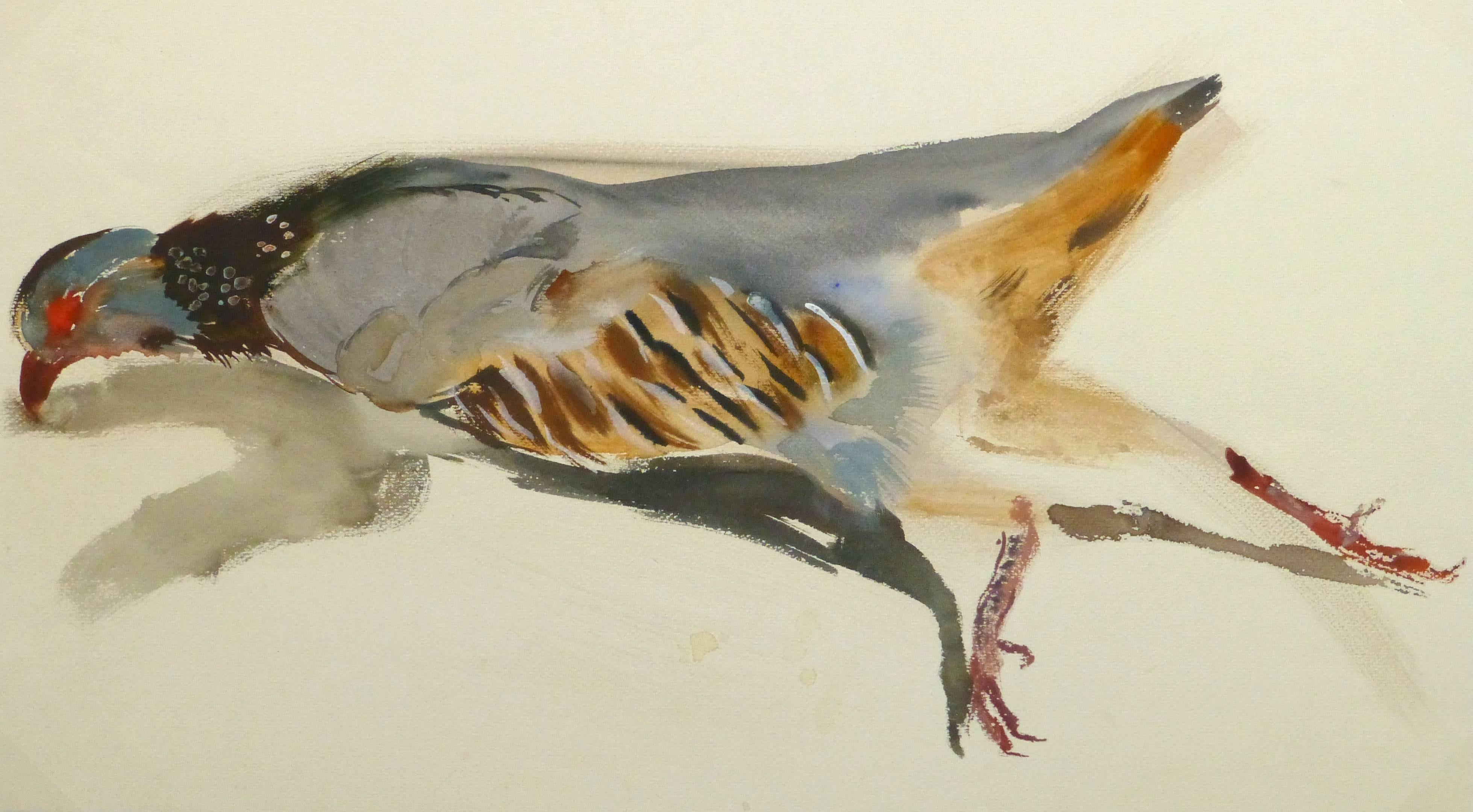 Unknown Animal Painting - Vintage French Gouache - Game Bird Specimen