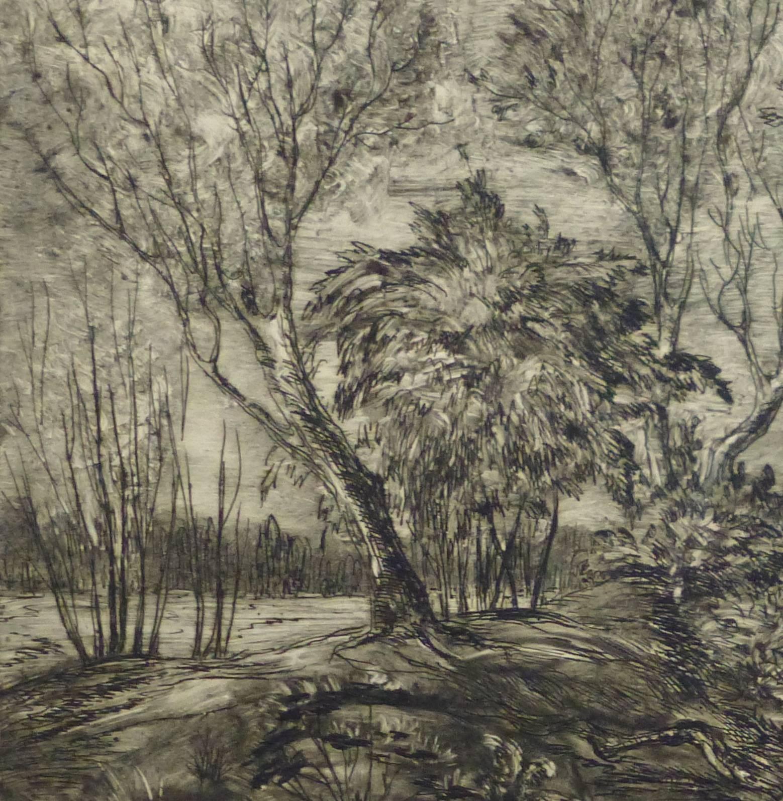 Vintage Etching - Curving Trees by the Riverside - Print by V. Gourianov