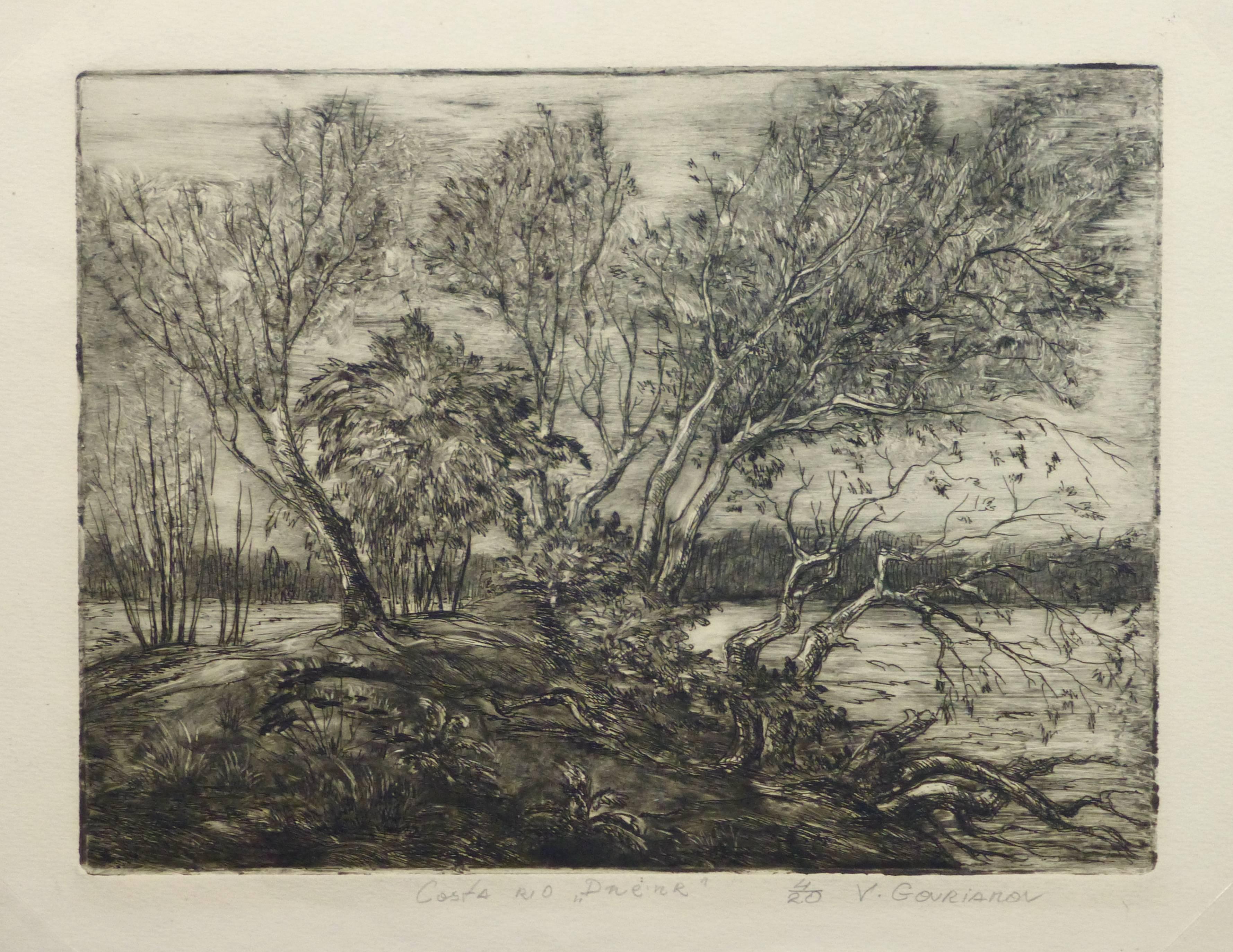V. Gourianov Landscape Print - Vintage Etching - Curving Trees by the Riverside