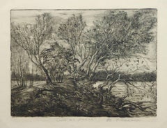 Vintage Etching - Curving Trees by the Riverside