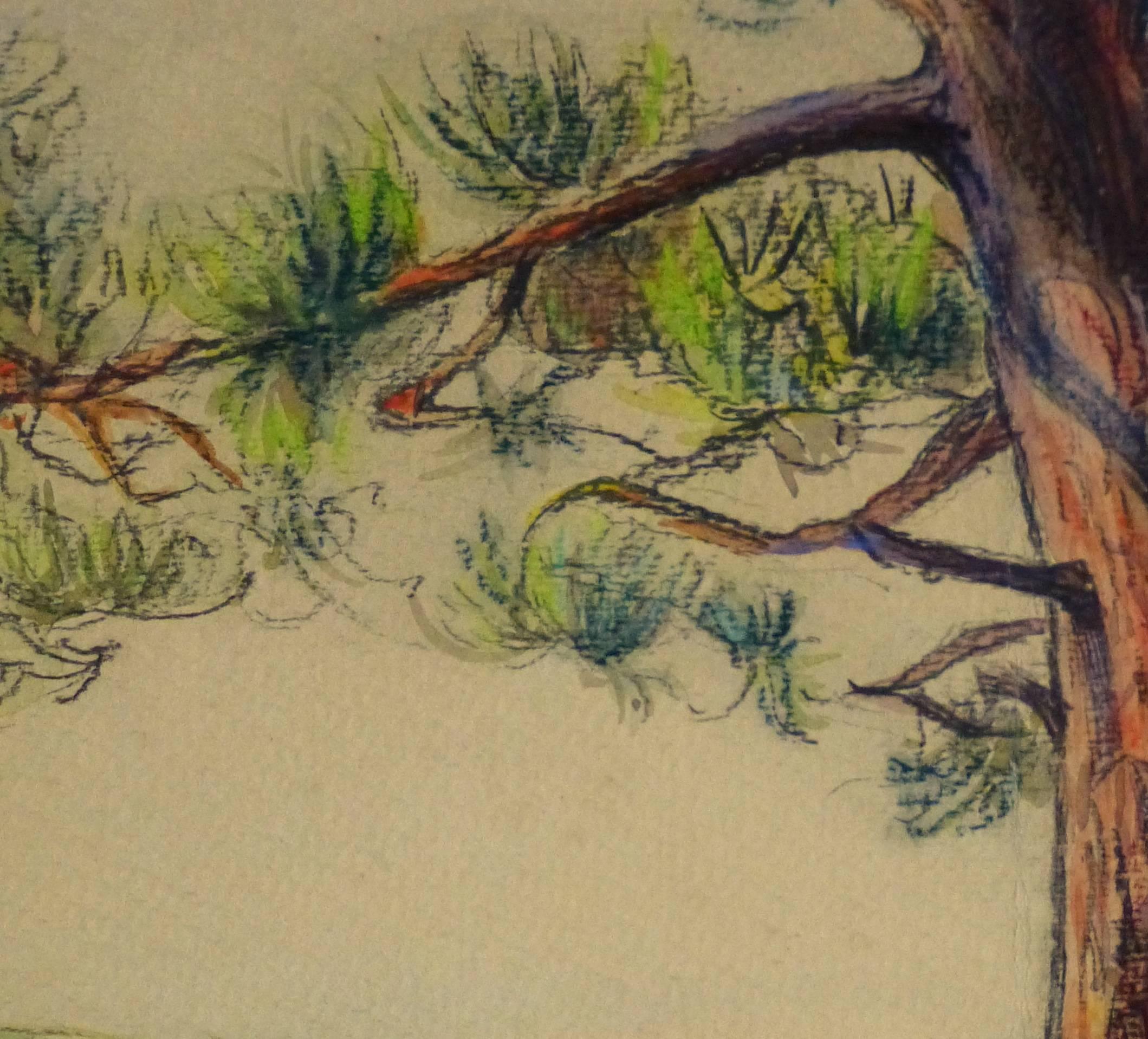 Watercolor & Charcoal - Pine Cove - Art by Unknown