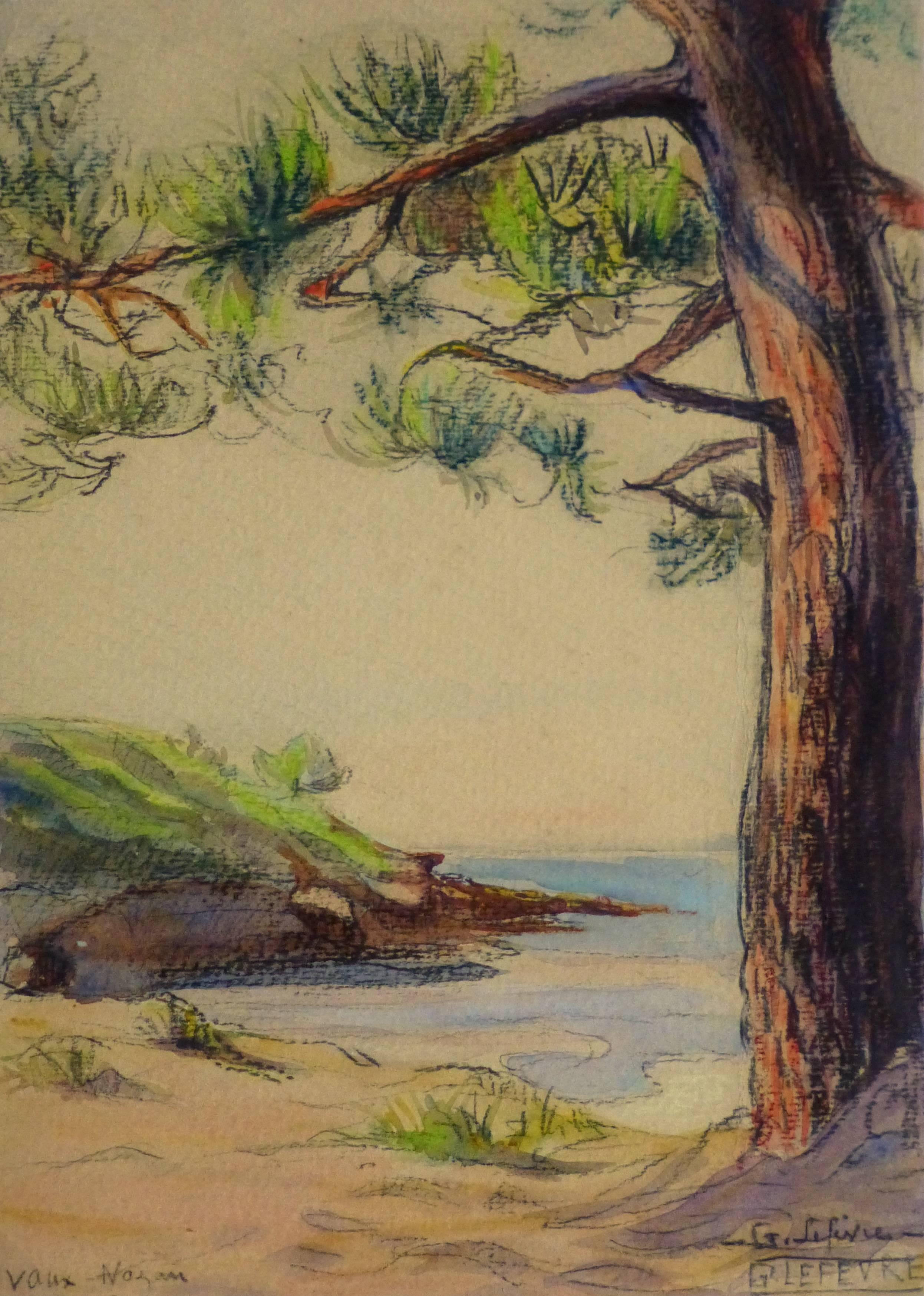 Unknown Landscape Art - Watercolor & Charcoal - Pine Cove