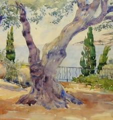 French Watercolor - Riviera Olive Trees