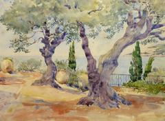 French Watercolor - Riviera Olive Trees