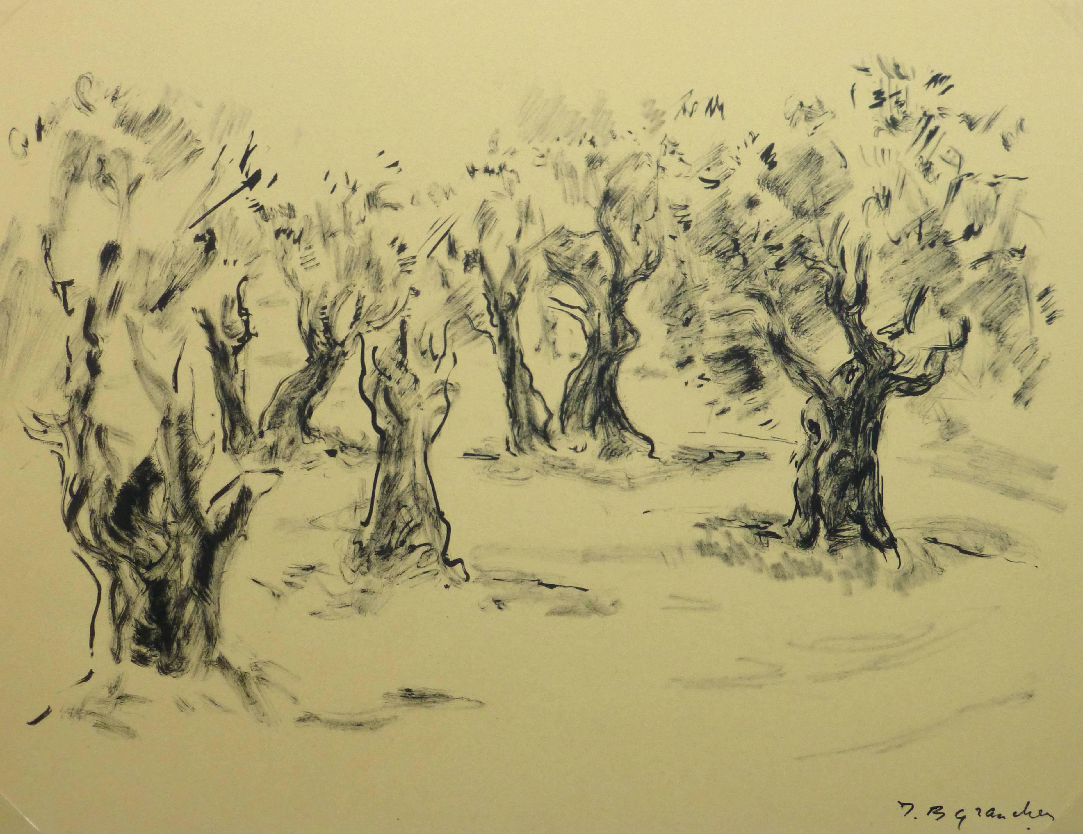 Jean-Baptiste Grancher Landscape Art - French Ink Painting - Provence Olive Grove