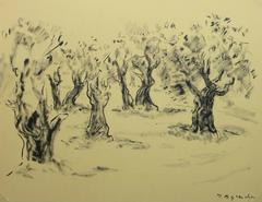 French Ink Painting - Provence Olive Grove