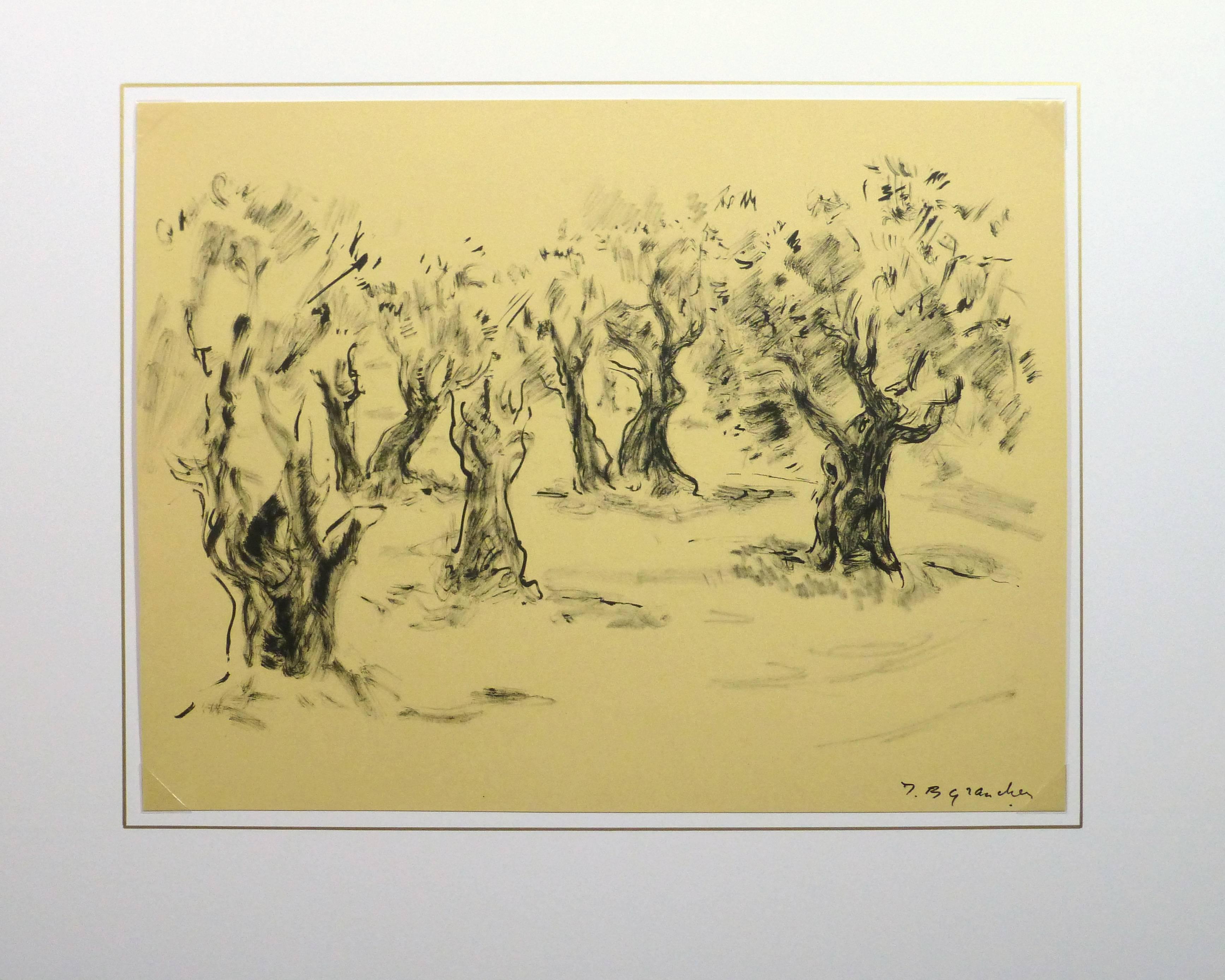 Peaceful black and white ink painting of a grouping of mature olive trees in Provence, France by Jean Baptiste Grancher, circa 1950. Signed lower right.

Original artwork on paper displayed on a white mat with a gold border. Archival plastic