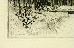 Forest of Fontainebleau