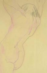 Nude in Pink