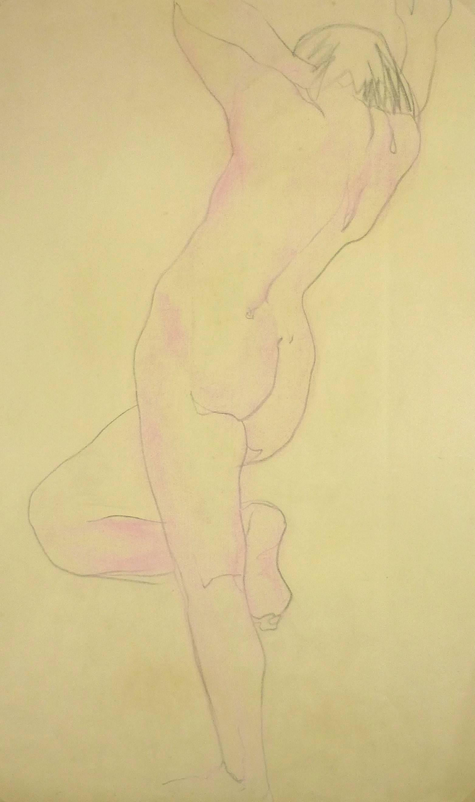 Nude in Pink - Art by Unknown