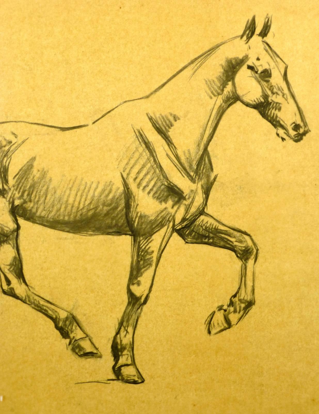 French drawing of Horse - Yellow Animal Art by J. Marchand