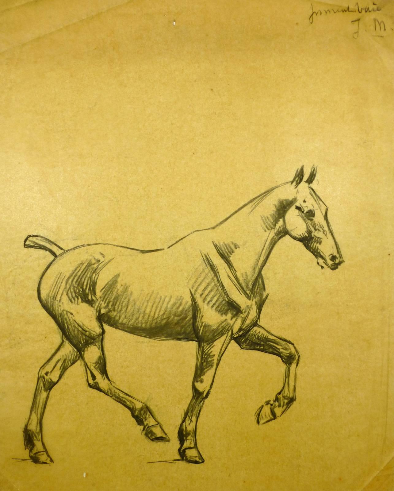 J. Marchand Animal Art - French drawing of Horse