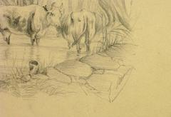 Watering Hole Drawing