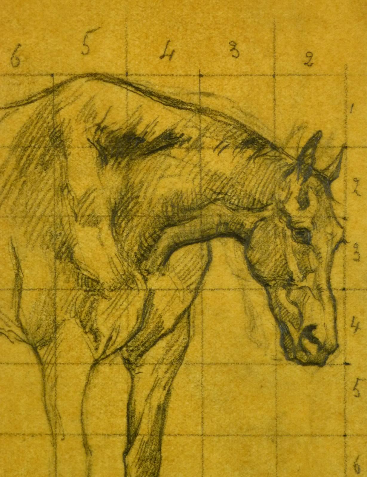 Study of Horse - Art by Unknown