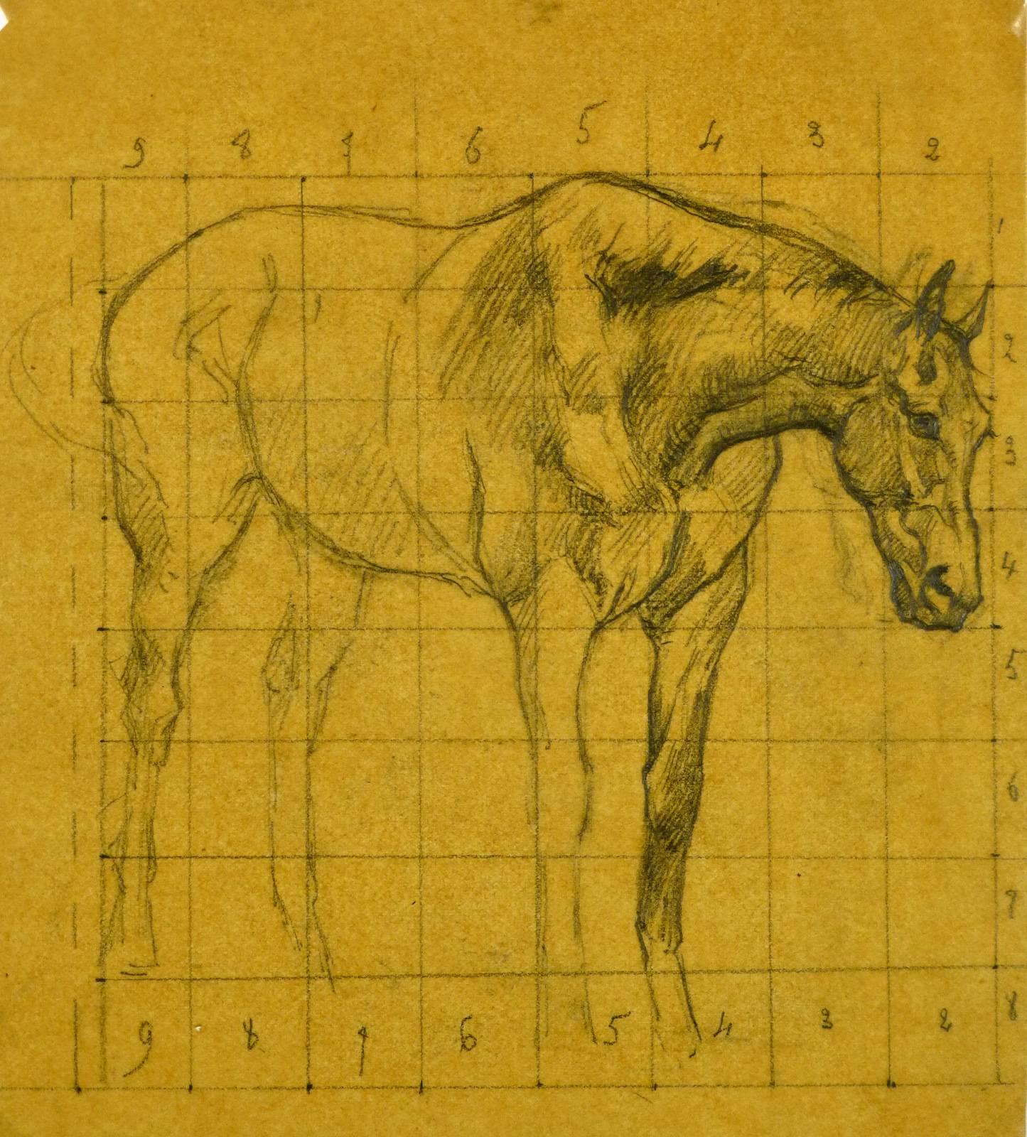 Unknown Animal Art - Study of Horse