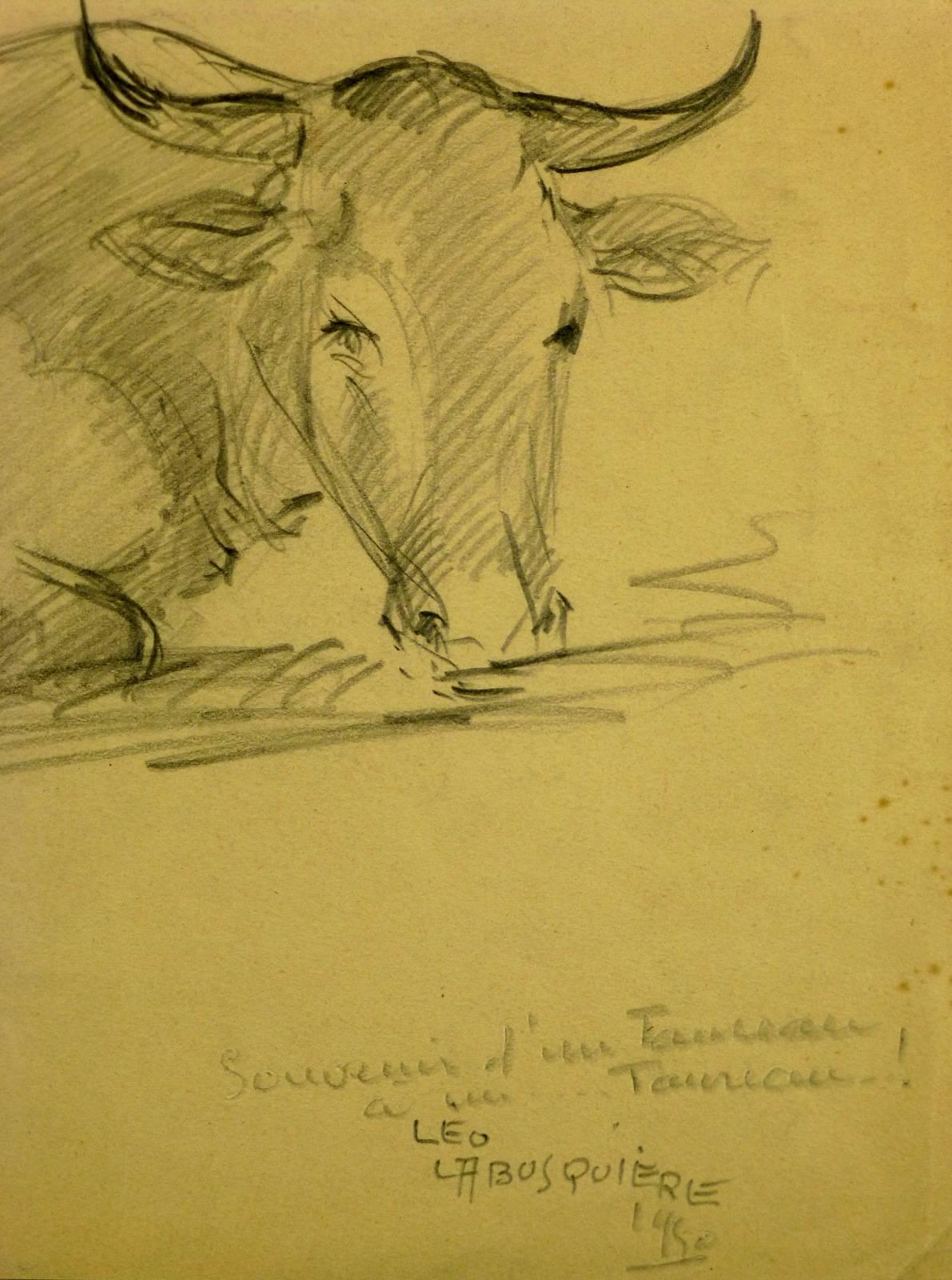 Steer Daunen liegend – Art von Leo Labusquiére