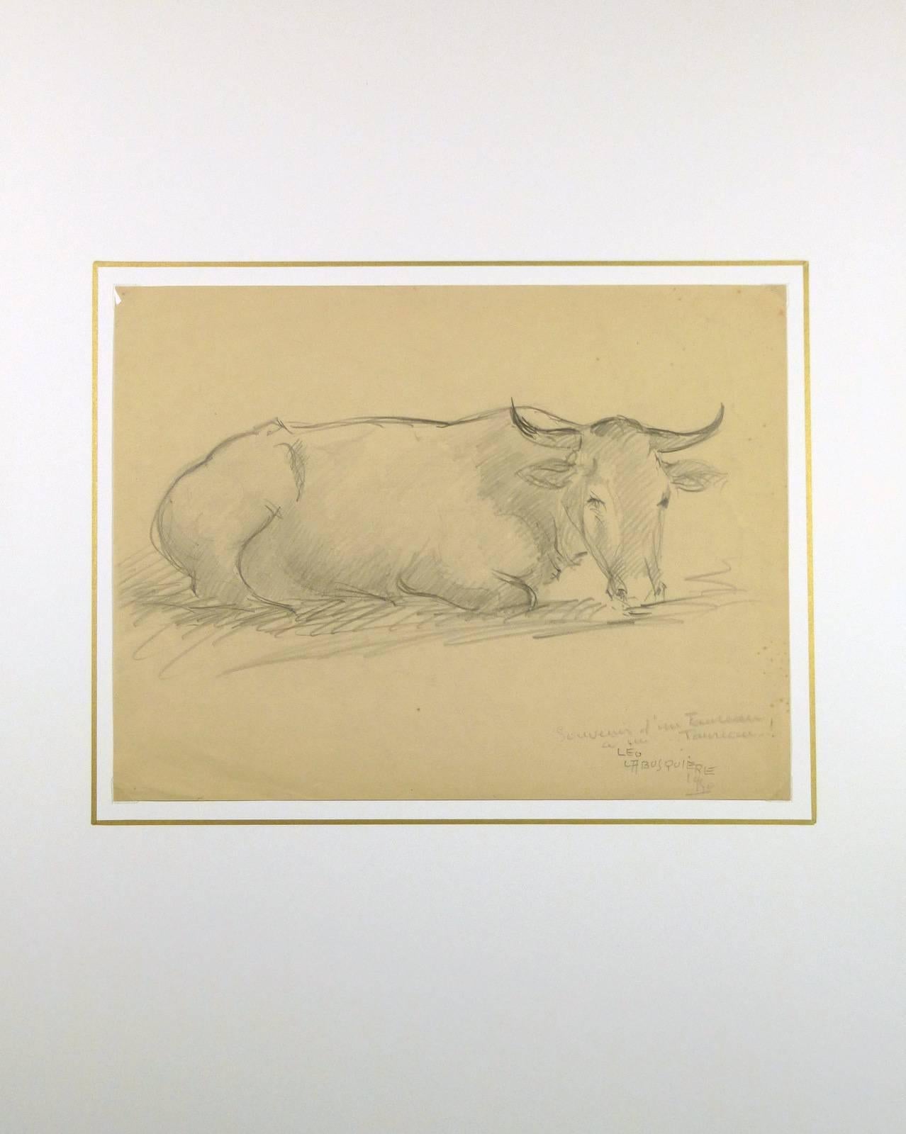 steer drawing