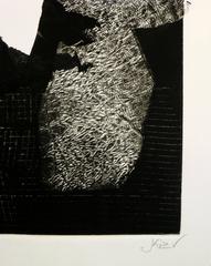 Black & White Abstract