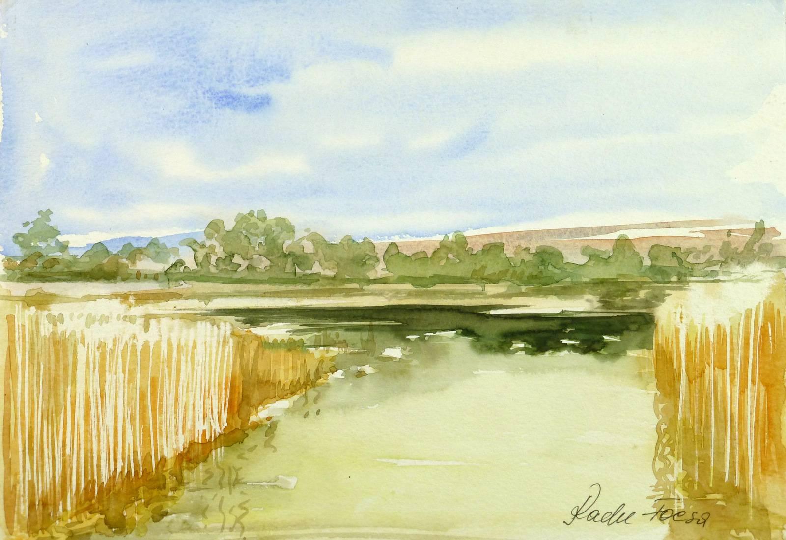 Radel-Foesa Landscape Art - Marsh Watercolor