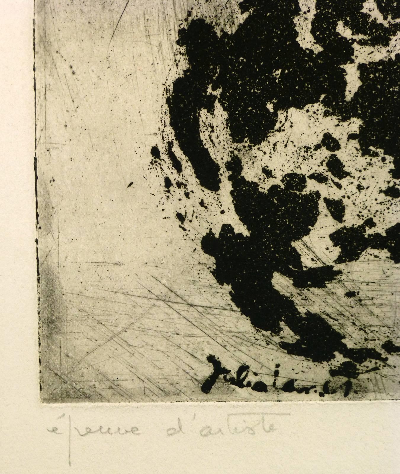 Schwarze und graue Abstrakte Radierung – Print von Julia Lan