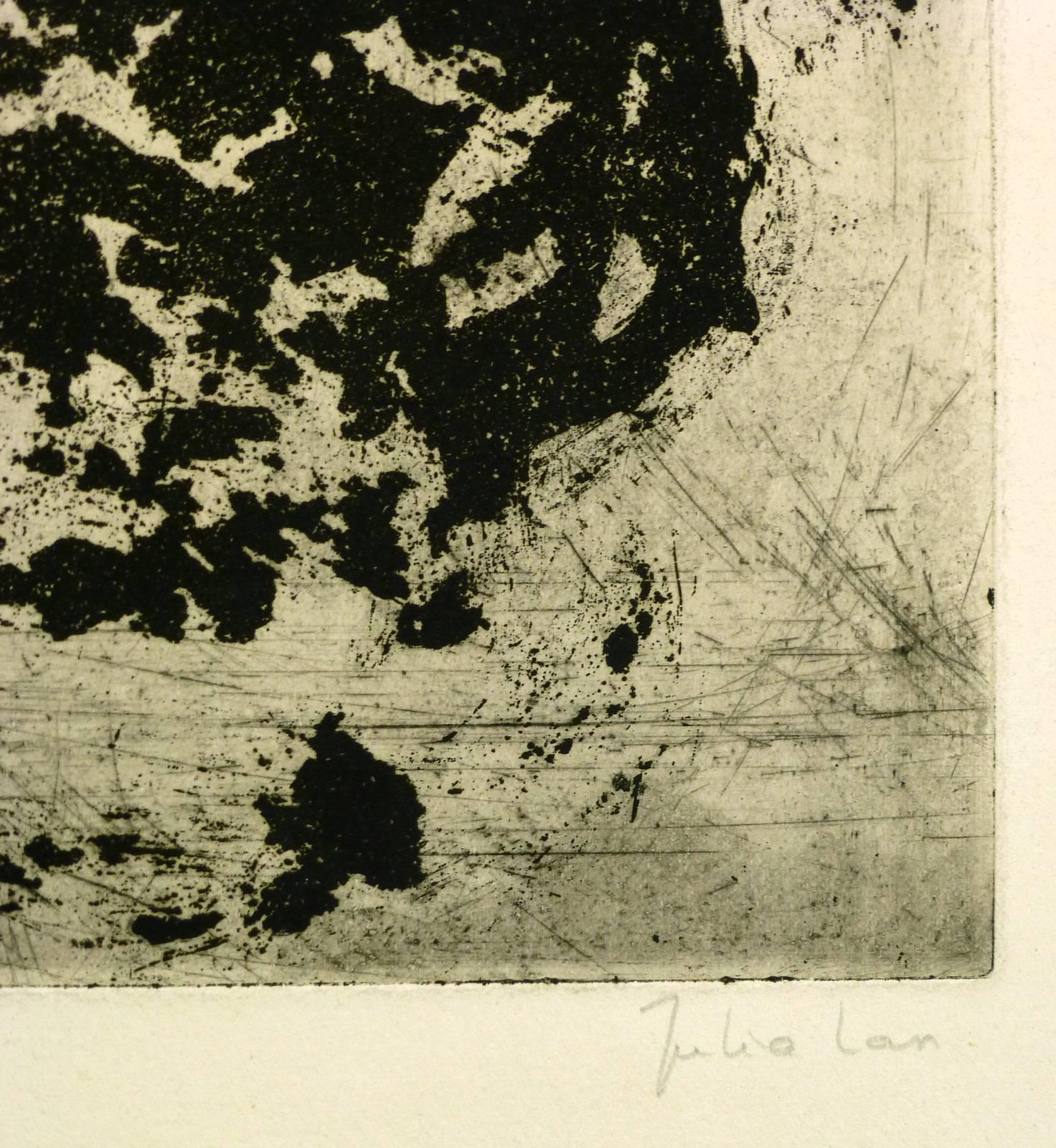 Schwarze und graue Abstrakte Radierung (Grau), Abstract Print, von Julia Lan