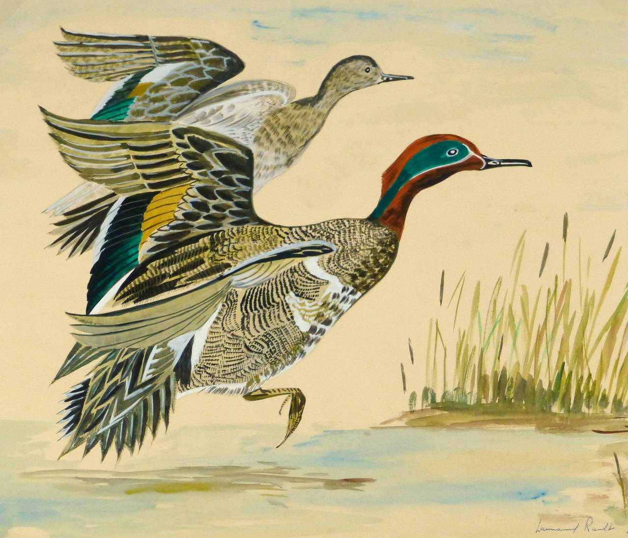 L. Rault Animal Painting - Vintage French Gouache - Green Winged Teal Ducks