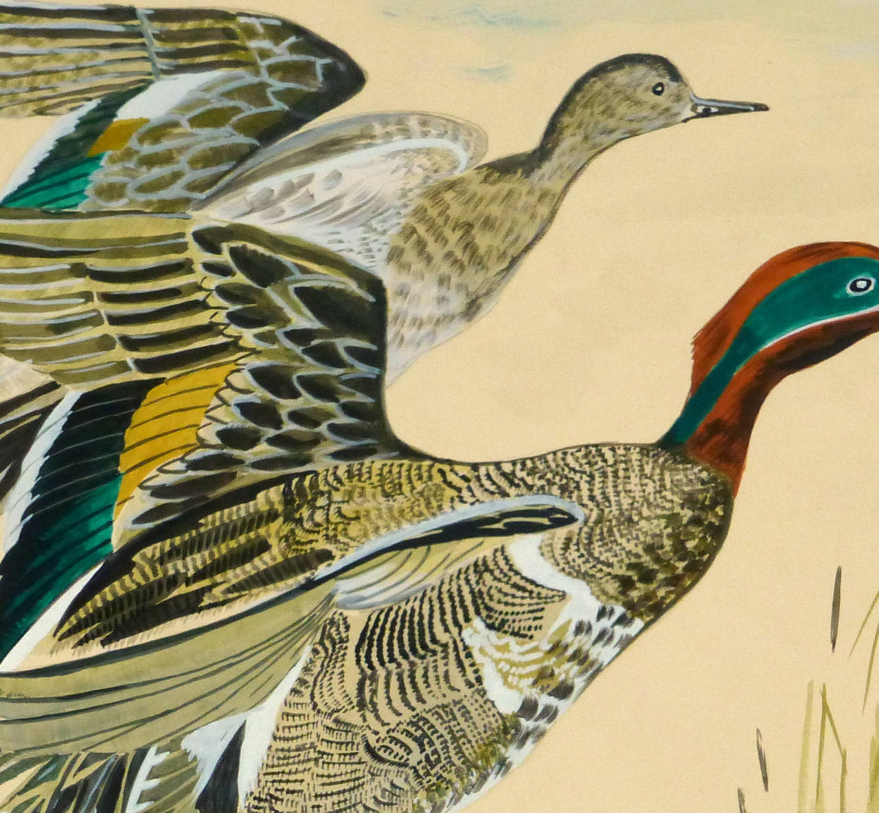Vintage French Gouache - Green Winged Teal Ducks - Painting by L. Rault