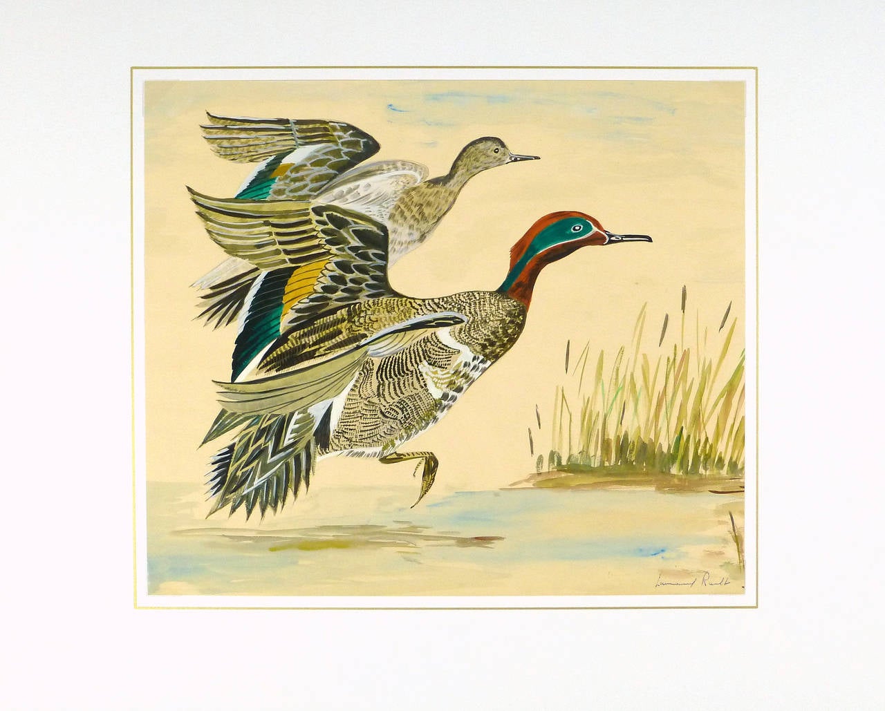 Vintage French Gouache - Green Winged Teal Ducks - Blue Animal Painting by L. Rault