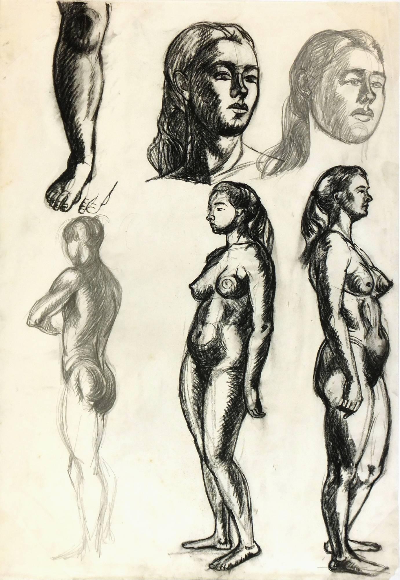 Nude Female Drawing