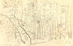 Graphite Drawing - Wooded Landscape