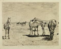 Antique Engraving of Horses - The Herd