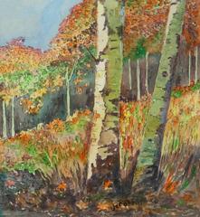 Paesaggio acquerellato vintage - Boschetto di betulle
