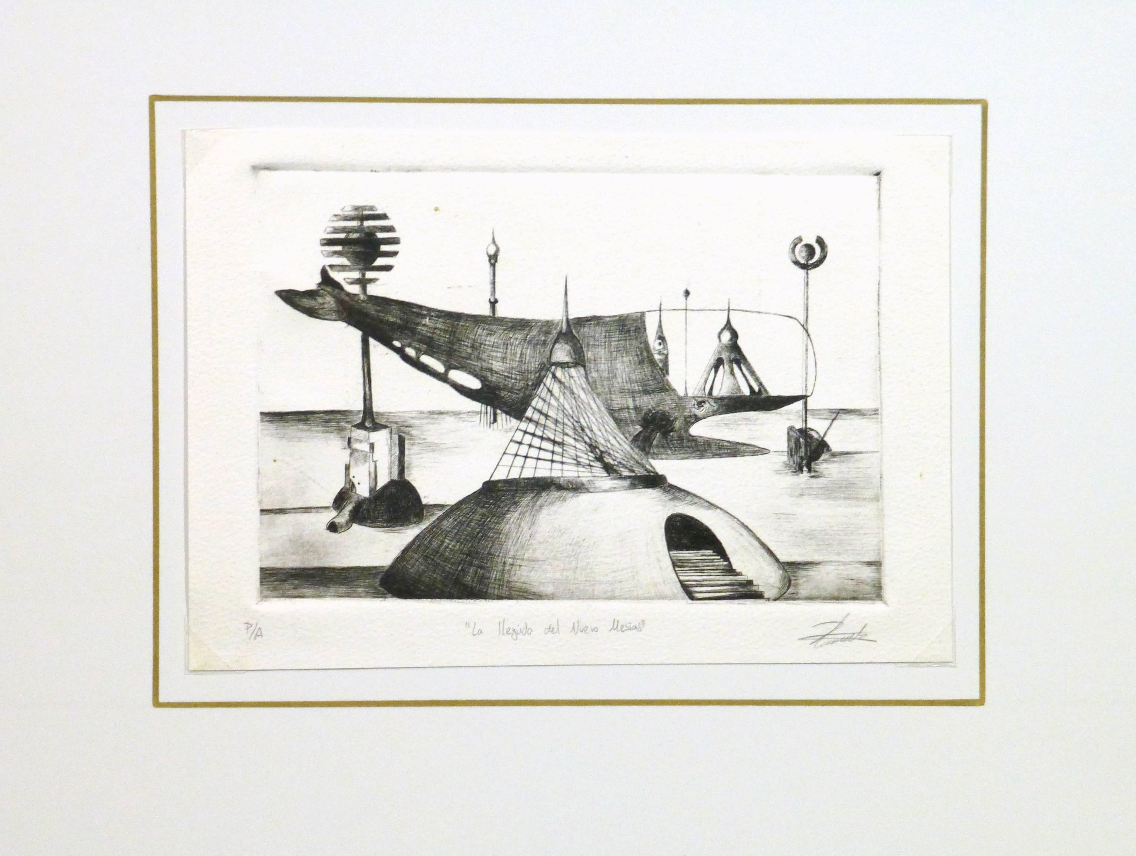 Riveting black and white etching of surreal building backed by a large abstract whale sculpture by Mexican artist Rodrigo Crenier, 2012. Artist proof. Signed lower right and titled in lower margin. 

Original artwork on paper displayed on a white