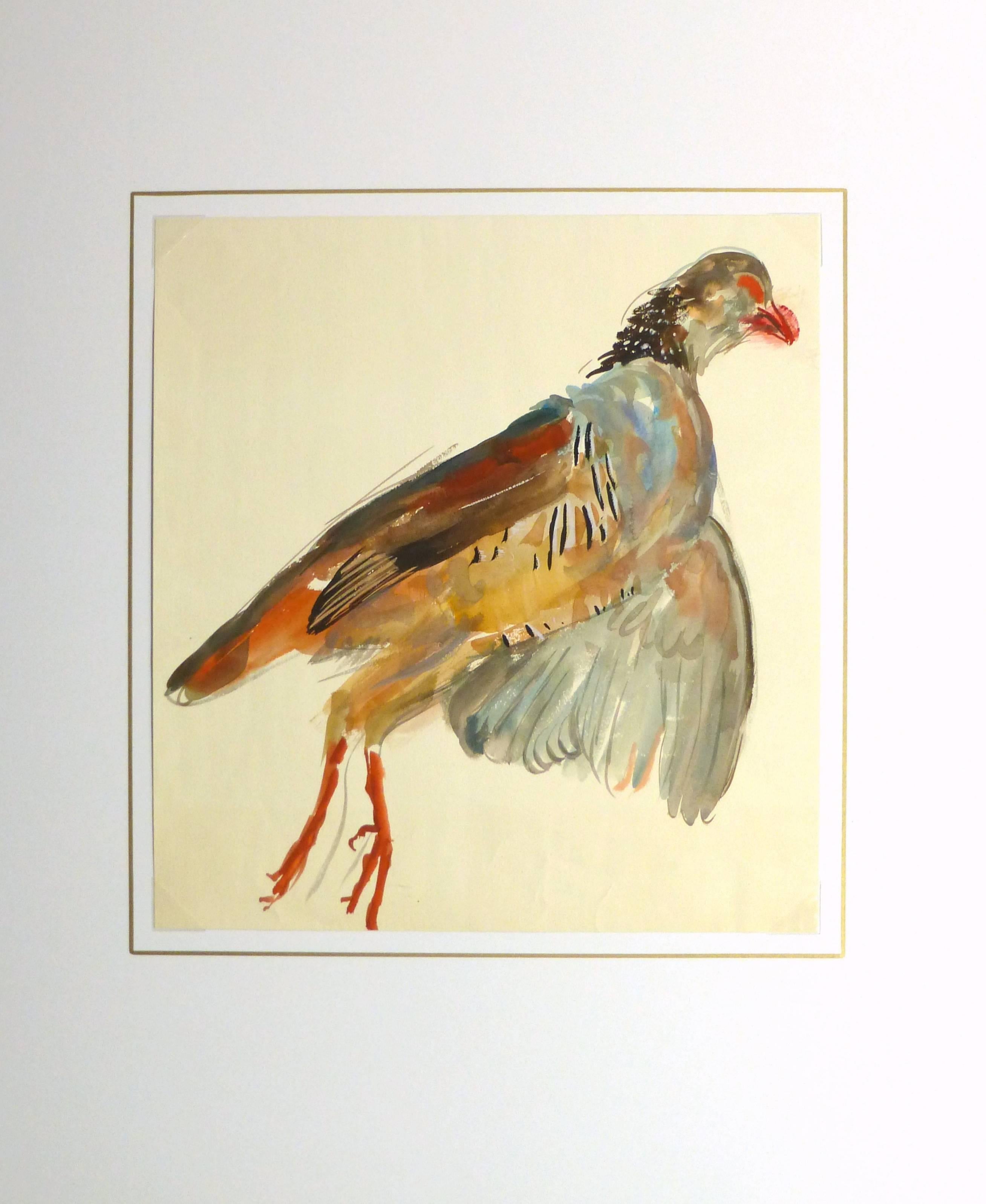 Beautifully-colored vintage French gouache painting of a game bird, circa 1950. 

Original artwork on paper displayed on a white mat with a gold border. Mat fits a standard-size frame. Archival plastic sleeve and Certificate of Authenticity