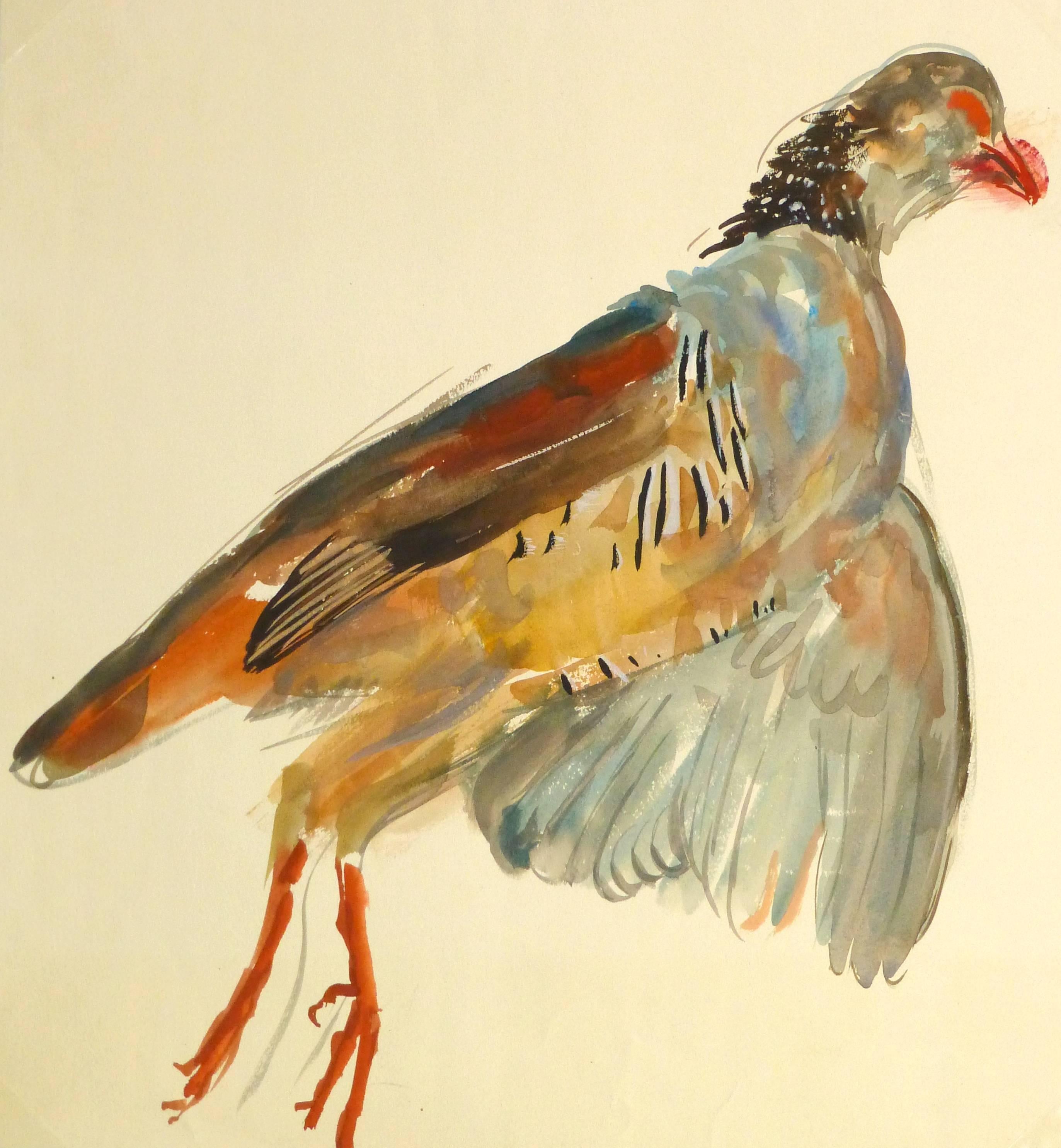 Unknown Animal Painting - Vintage French Gouache - Game Bird Specimen