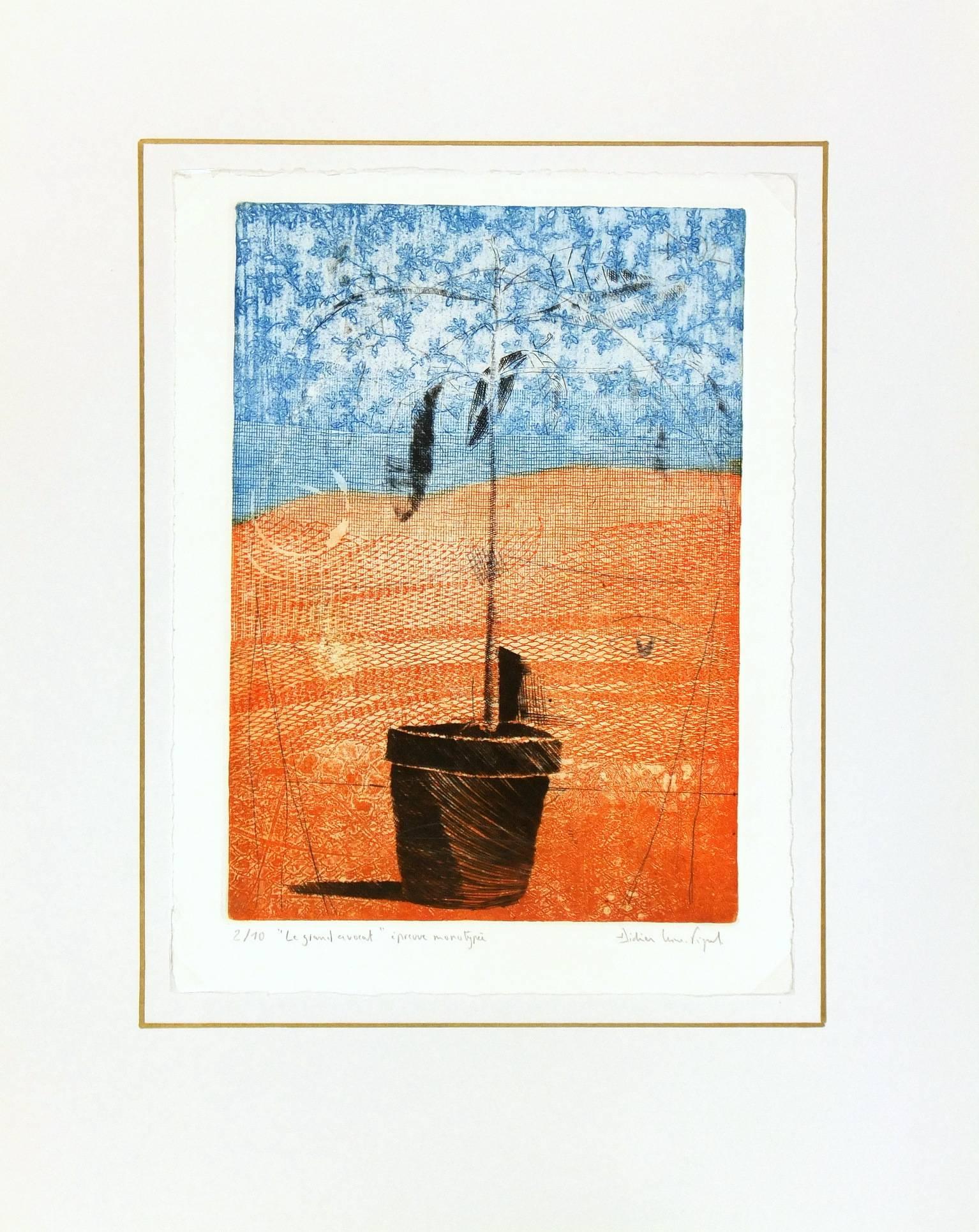 Vivid French aquatint of a potted plant layered with an abstract face by Didier Lesne-Pigeaud, 2003. Signed lower right, titled and numbered 2 of 10 lower left. Titled: Le Grand Avocat. The title is a play on the words mingling the concepts of a