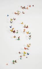Feather 8