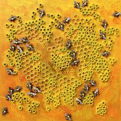Organized Chaos VIII 7
