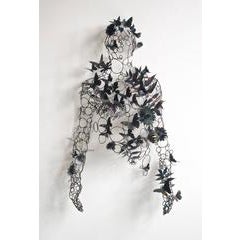 Lepidopterist 11