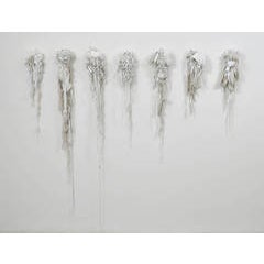Fleeting Series 6