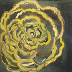 Yellow Rose 7