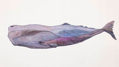 Horizon (Baleine)