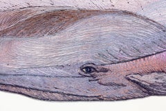 Horizon (Baleine)