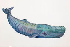 Atlas (Balena)