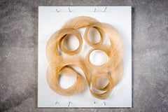 Formas infinitas – Nido