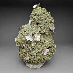 Small Bushform 3