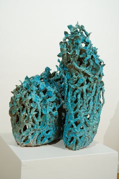 Boy Colored Spiral Bushform